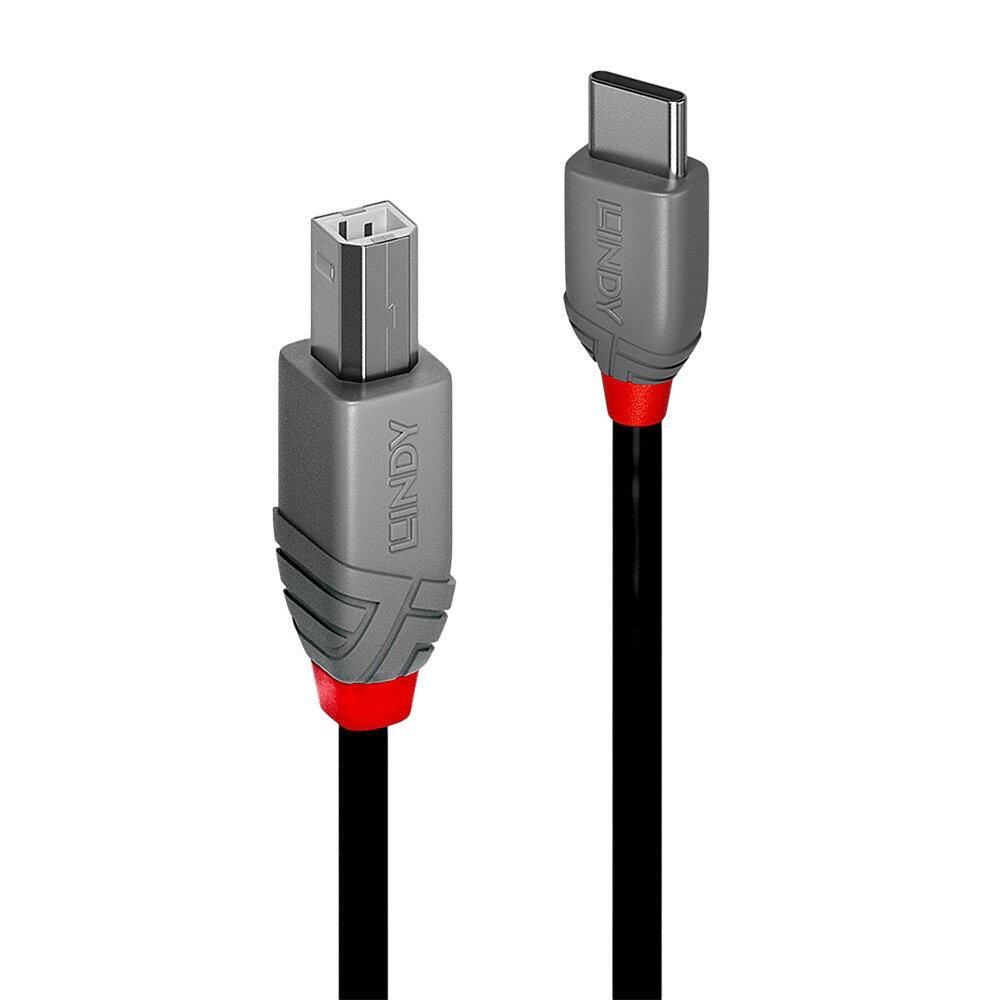 Lindy C-B USB 2.0 1m
